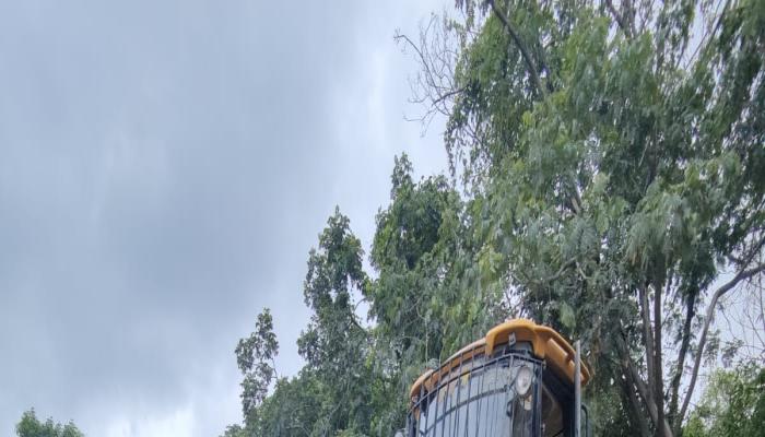 Used JCB Loader for sell 