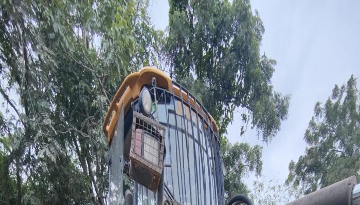 Used JCB Loader for sell 