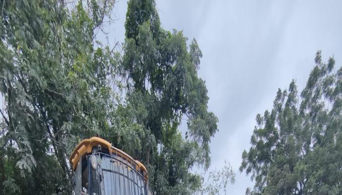 Used JCB Loader for sell 
